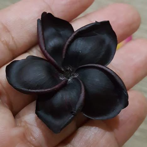Black flower-like object held in a hand against a neutral background