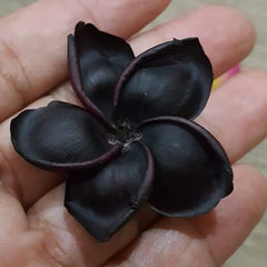 Black flower-like object held in a hand against a neutral background
