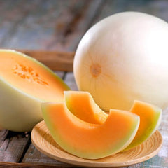 50 Sun Lady Thai Cantaloupe Melon Seeds