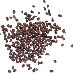 100 Flash Mob Iris Seeds