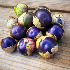 100 Plum Jam Purple Gooseberry Seeds Lantern Fruit