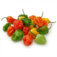 25 habanero Chilli Ghost Pepper Non GMOs Vegetable Seeds