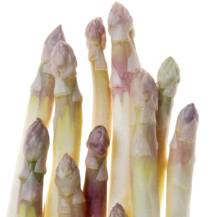 Close-up of asparagus spears on a white background