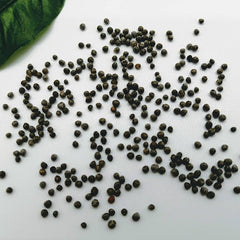 400 Green Shiso Korean Perilla Leaf Kkaennip Seeds