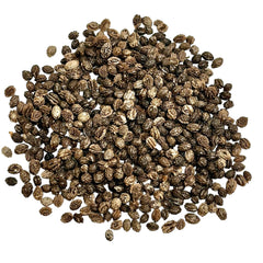 50 Thai Khon Kaen 80 Papaya Fruit Seeds