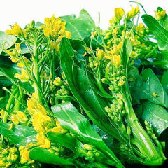 1000 Edible Rape White Flower Choy Sum Choi Sum Seeds Flowering Cabbage