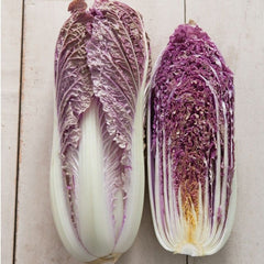100 Red Trumptet Chinese Cabbage Vegetable Seeds
