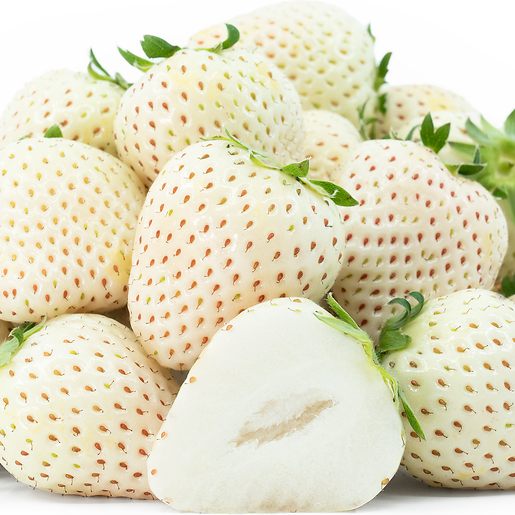 White strawberries with green stems on a white background
