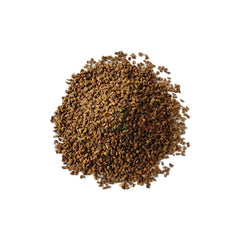 1000 White Celery Seeds