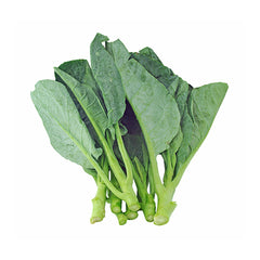 1000 Thai Kale Vegetable Non-gmo Heirloom Seeds