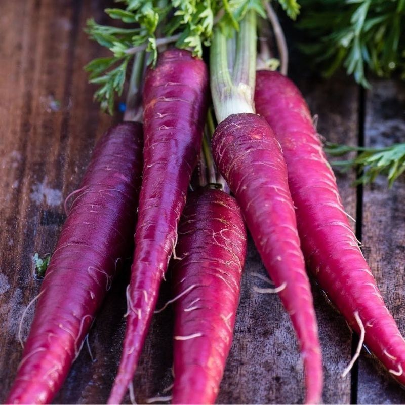 400 Cosmic Purple Carrot Daucus Carota Vegetable Non-Gmo Seeds