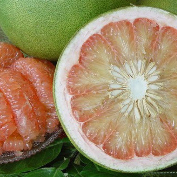 Pomelo fruit with a cut half showing its juicy interior on a green leafy background.
