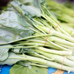 1000 Branching Chinese Kale Kai Lan Kailaan Seeds Brassica Oleracea