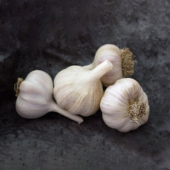 20 gram Metechi Hardneck Garlic Bulbils Organic Vegetable Non-GMO Heirloom Seeds