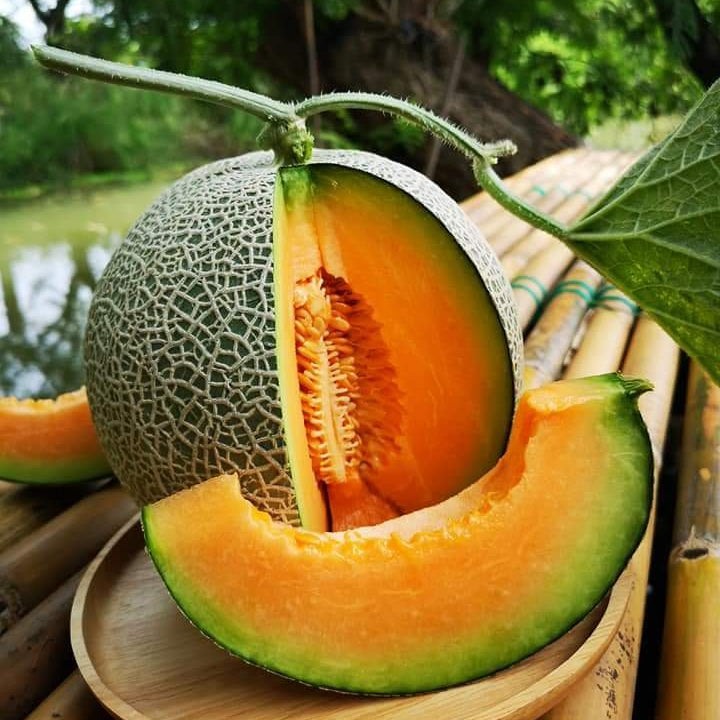Melon with a slice cut open on a wooden surface with a natural background