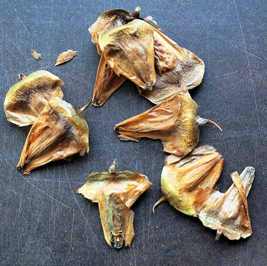 Dried mushroom pieces on a dark surface