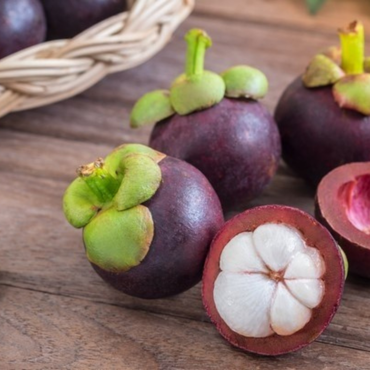 10 Mangosteen Tree Bonsai Plants Delicious Queen Of Tropical Fruit Planting Seeds