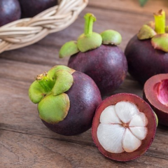 10 Mangosteen Tree Bonsai Plants Delicious Queen Of Tropical Fruit Planting Potted Home Garden To Seeds