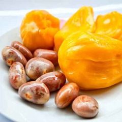 10 Orange Jackfruit Seeds 100% Organic Rare Sweetest Jack Fruit Seeds (Asia Fruit)