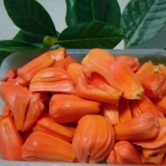 10 Orange Jackfruit Seeds 100% Organic Rare Sweetest Jack Fruit Seeds (Asia Fruit)