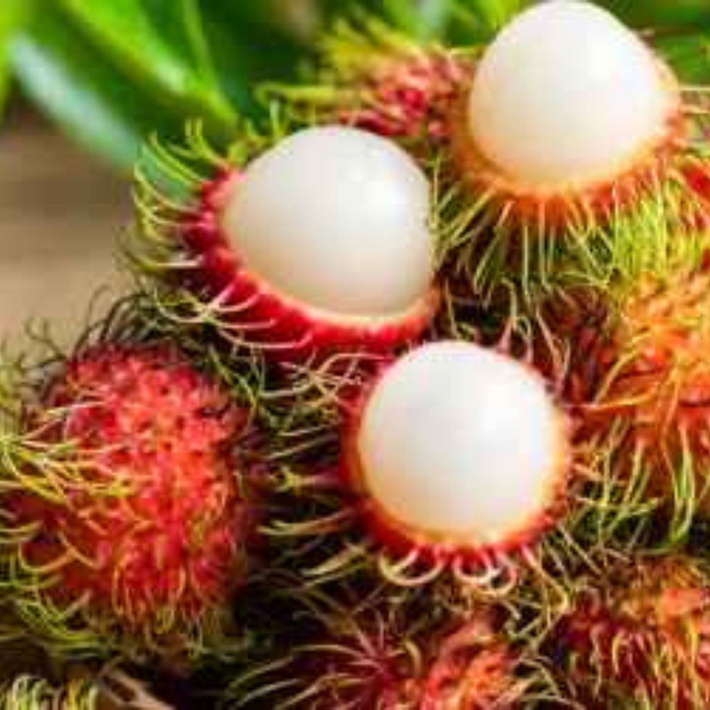 Rambutan Seeds (Asia Fruit) | helps your heart beat, kidneys function ...