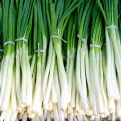 100 Chinese Giant Green Onion Scallion Organic Vegetable Non-gmo Health Decoration Heirloom Seeds (Vegetable Potted Plants)