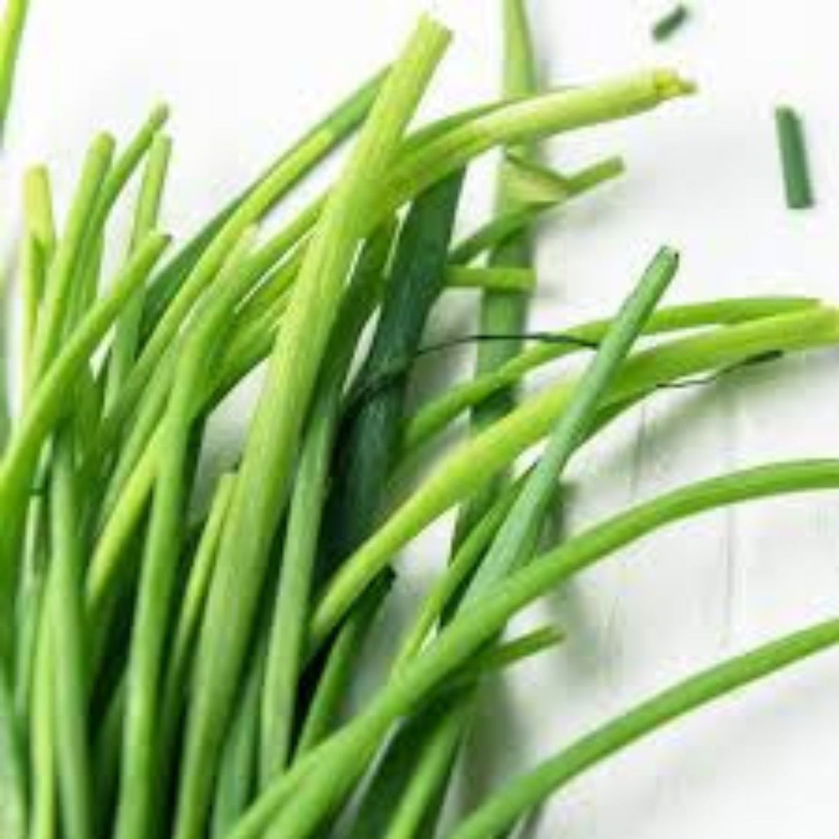 100 Chive Onion Seeds Four Seasons