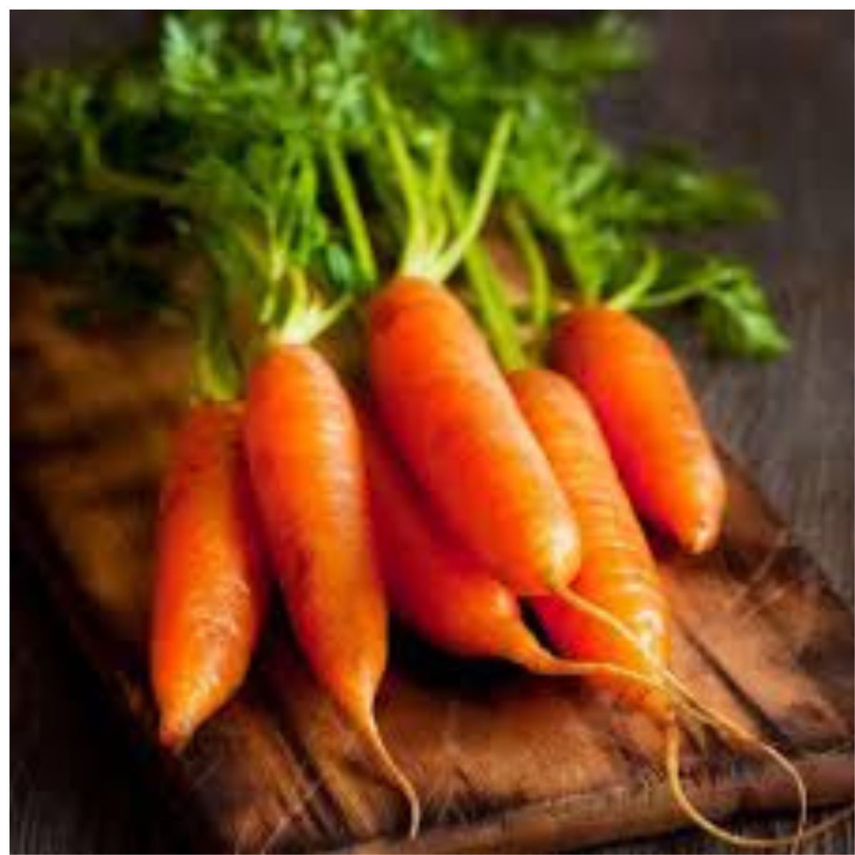 100 Orange  Danver Carrot Heirloom Seeds (Vegetable) Non Gmo