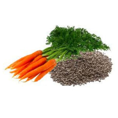 100 Carrot Bonsai Fruit Vegetable Plants Nutrition Organic Healthy Food Home Garden Planting Seeds