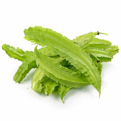 50 Green Winged Bean Seeds Psophocarpus tetragonolobus