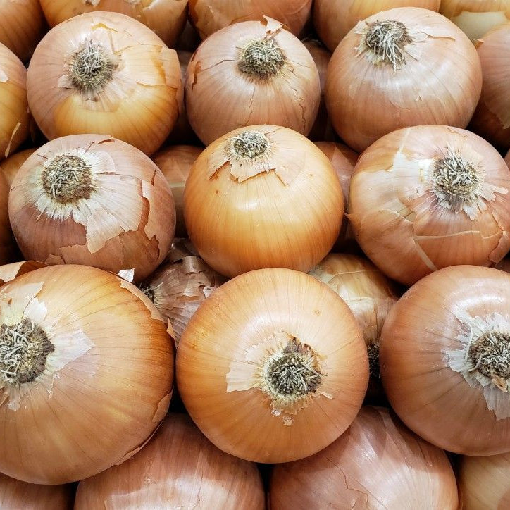 Close-up of a pile of onions with visible roots.