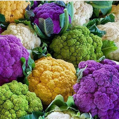 100 Mixed Color Cauliflower Vegetable Heirloom Seeds