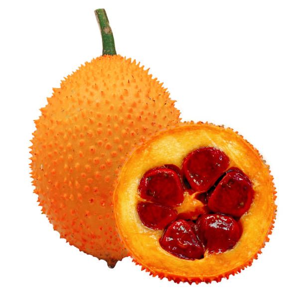 20 Gac Fruit Sweet Gourd Momordica Cochinchinensis