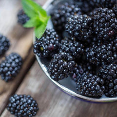 100 Dirksen Thornless Blackberry Seeds