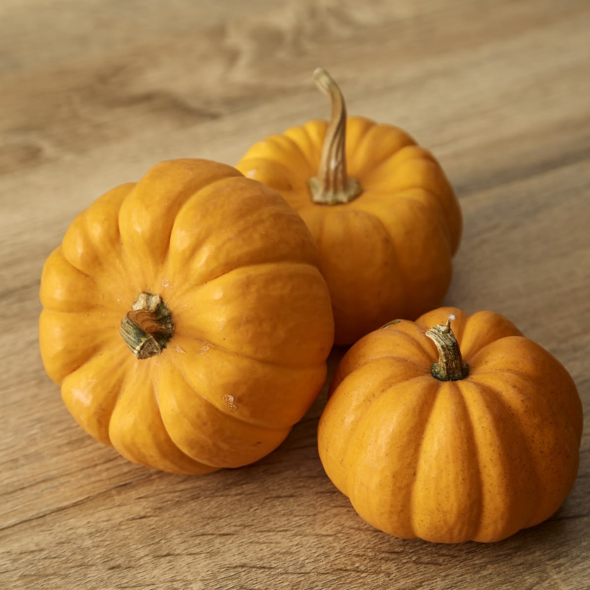 35 Jack Be Little Pumpkin Vegetable Seeds