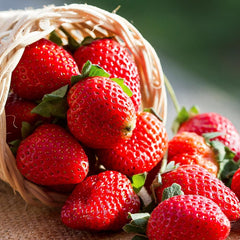 100 Fort Laramie Strawberry Fruit Organic Sweet Non-GMO Seeds
