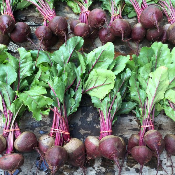 100 Detroit Dark Red Beets Organic Heirloom Seeds Vegetable Non-Gmo