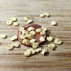 100 Siling Labuyo Chili Pepper Seeds