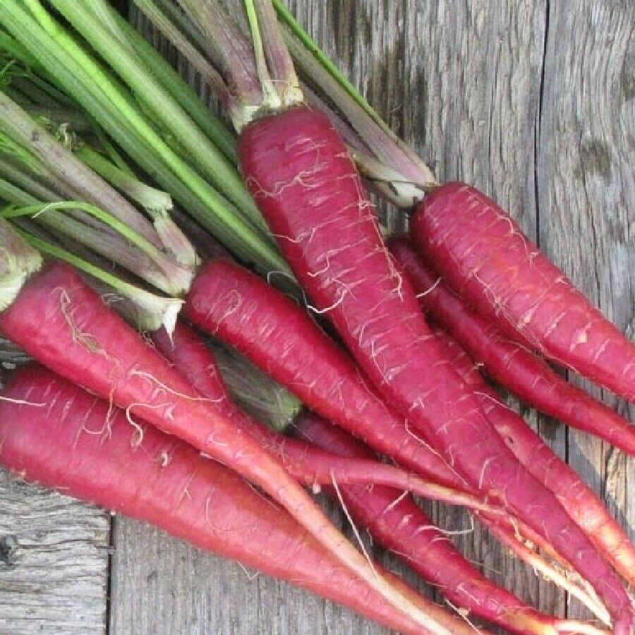 400 Atomic Red Carrots Vegetable Non-gmo Seeds