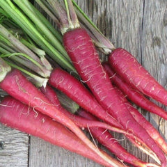 400 Atomic Red Carrots Vegetable Non-gmo Seeds