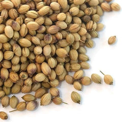 500 Thai Big Leaf Coriander Vegetable Planting Potted Heirloom Seeds