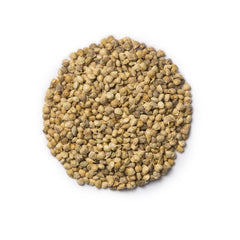 1000 Komatsuna Japanese Spinach Seeds