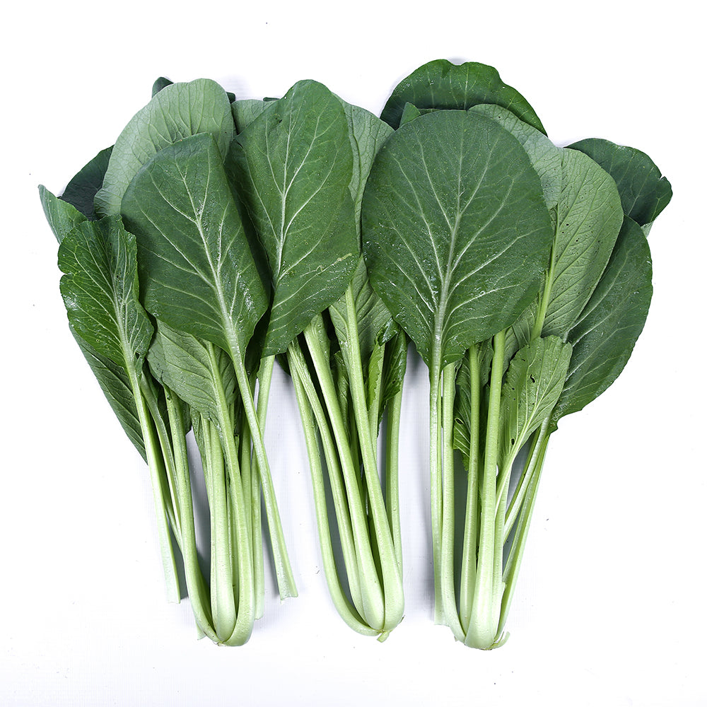 1000 Cantonese Chinese Choy Sum Choi Sum Seeds