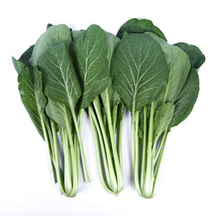 1000 Cantonese Chinese Choy Sum Choi Sum Seeds