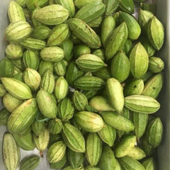 50 Manoy Om Ampam Fermented Manoy Sweet Gourd Manoy Snake Manoy Kong Manoy Square Seeds
