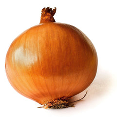 300 Super Rex Onion Vegetable Seeds