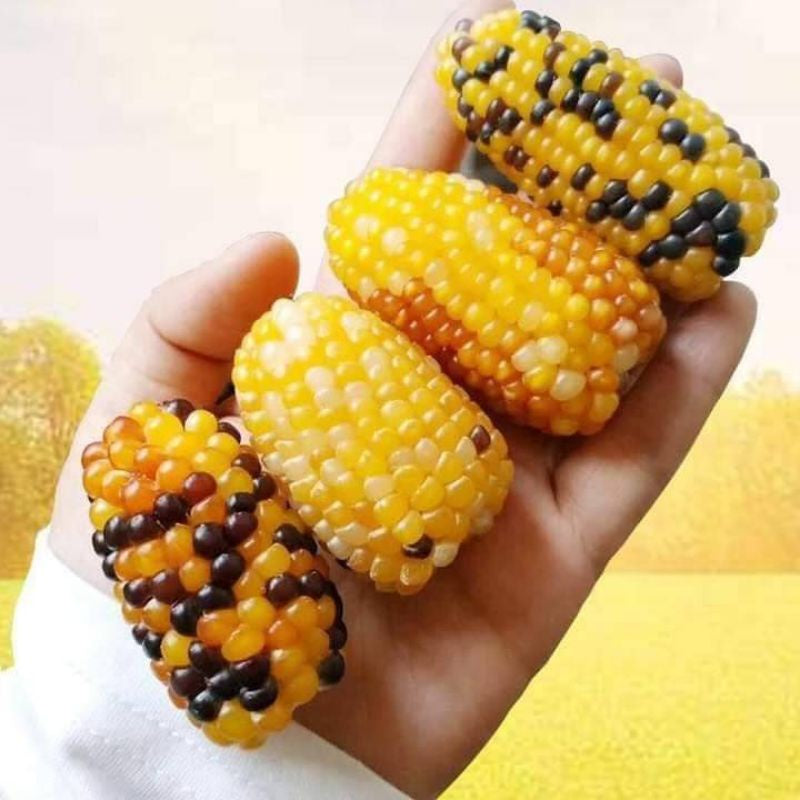 100 Yellow Pineapple Corn Seeds