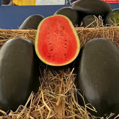 Black watermelons with red flesh displayed on hay with a blue backdrop