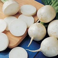 200 Turnip Tokyo Cross Hybrid Vegetable Seeds