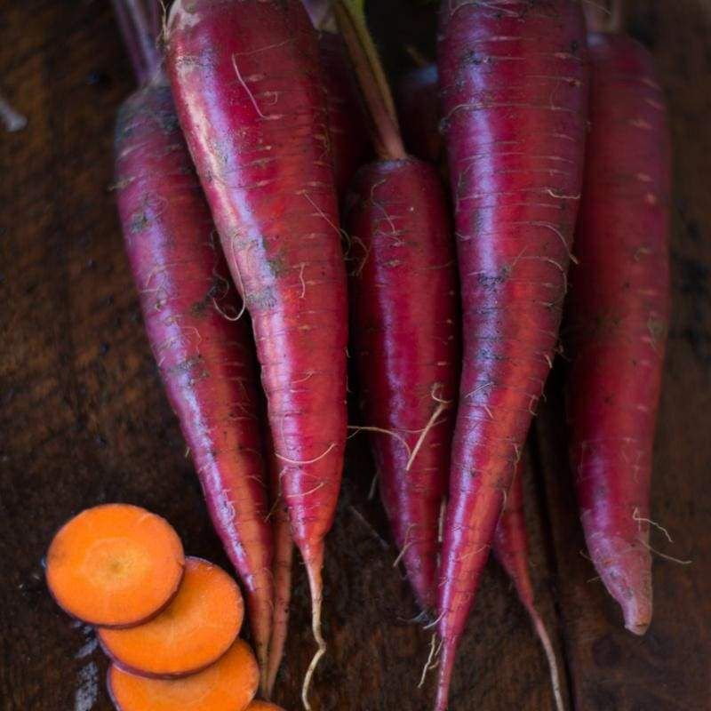 400 Dragon Purple Carrot Seeds